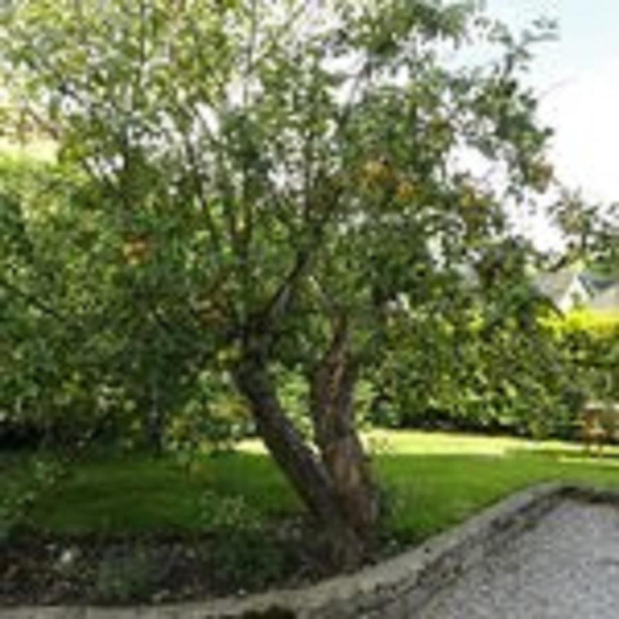 Cheshire House Guest House Hope Extérieur photo